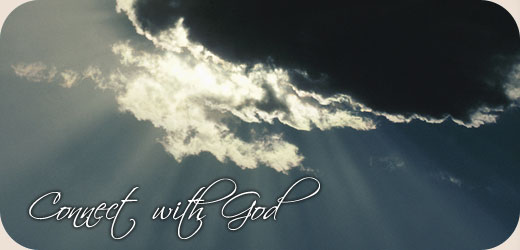 Bay Hills What to Expect