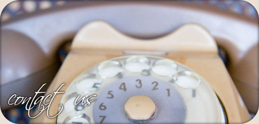 Bay Hills What to Expect