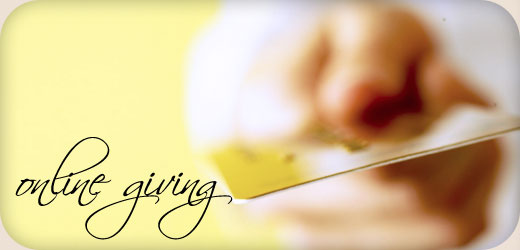 Bay Hills What to Expect